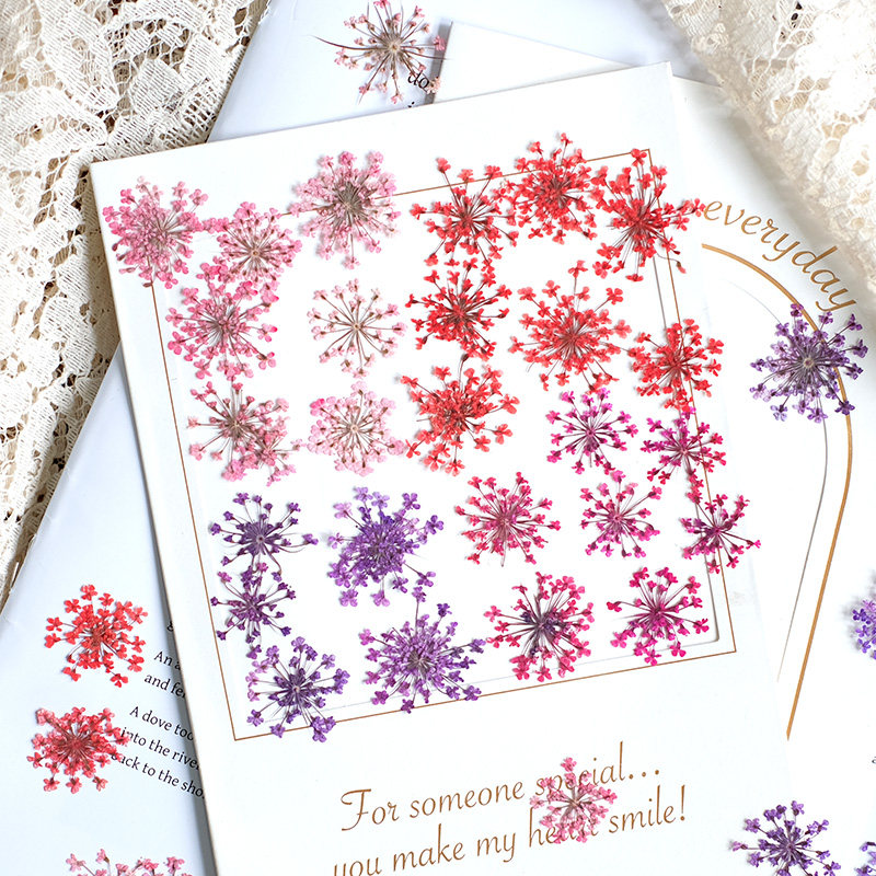Resin Art Baby - 24 Pezzi, 2-2,5 cm, Petali di