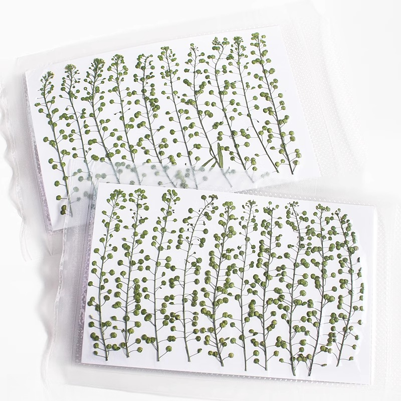 Colore naturale Campana verde  - Resin Art Baby recensione e prezzo