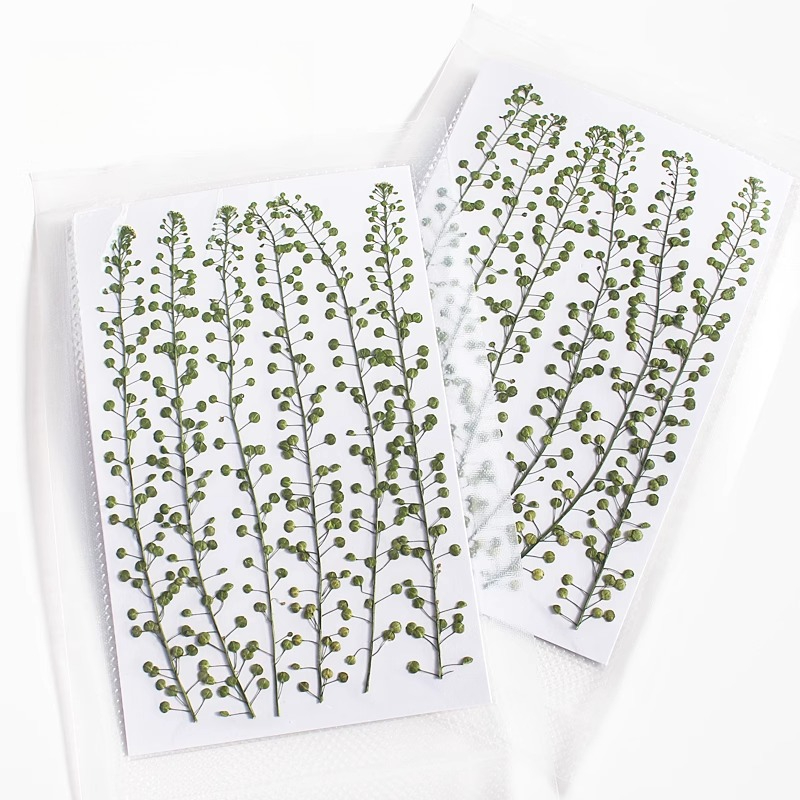 Colore naturale Campana verde  - Resin Art Baby recensione e prezzo