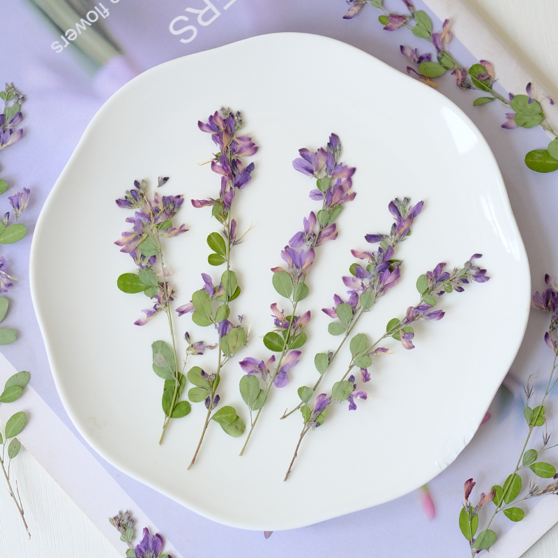 6 Pezzi, Fiori Essiccati e Pre - Resin Art Baby recensione e prezzo