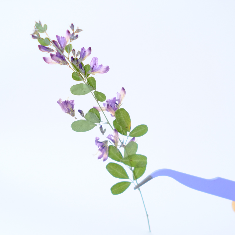 6 Pezzi, Fiori Essiccati e Pre - Resin Art Baby recensione e prezzo