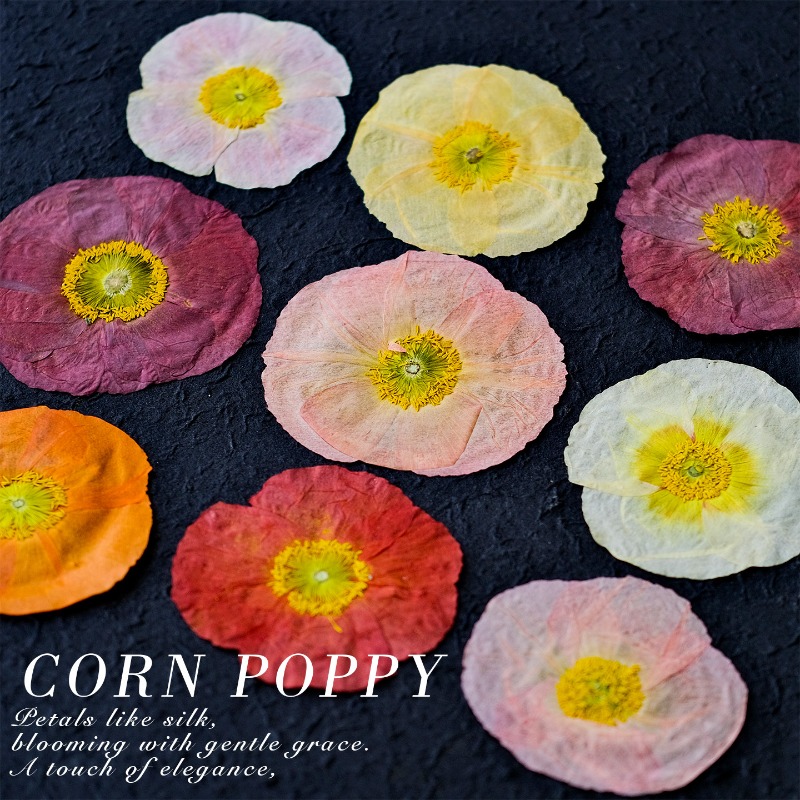 1 pz, Fiori di Papavero Natura - Resin Art Baby recensione e prezzo
