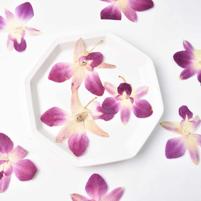 4 Pezzi, Fiori di Orchidea Far - Resin Art Baby recensione e prezzo