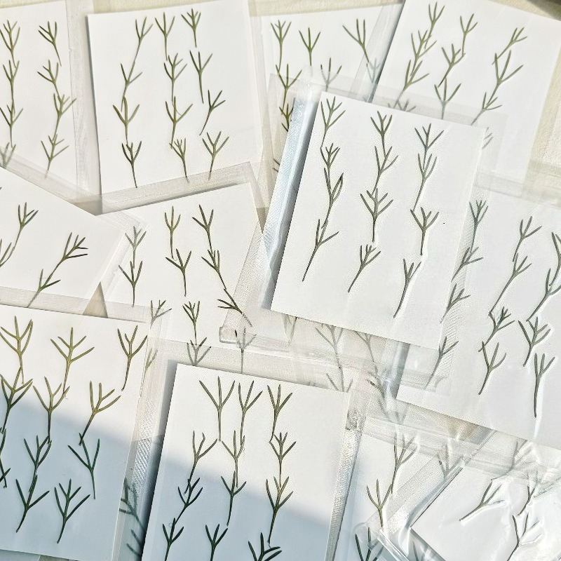 24 pezzi, Foglie di Achillea P - Resin Art Baby recensione e prezzo