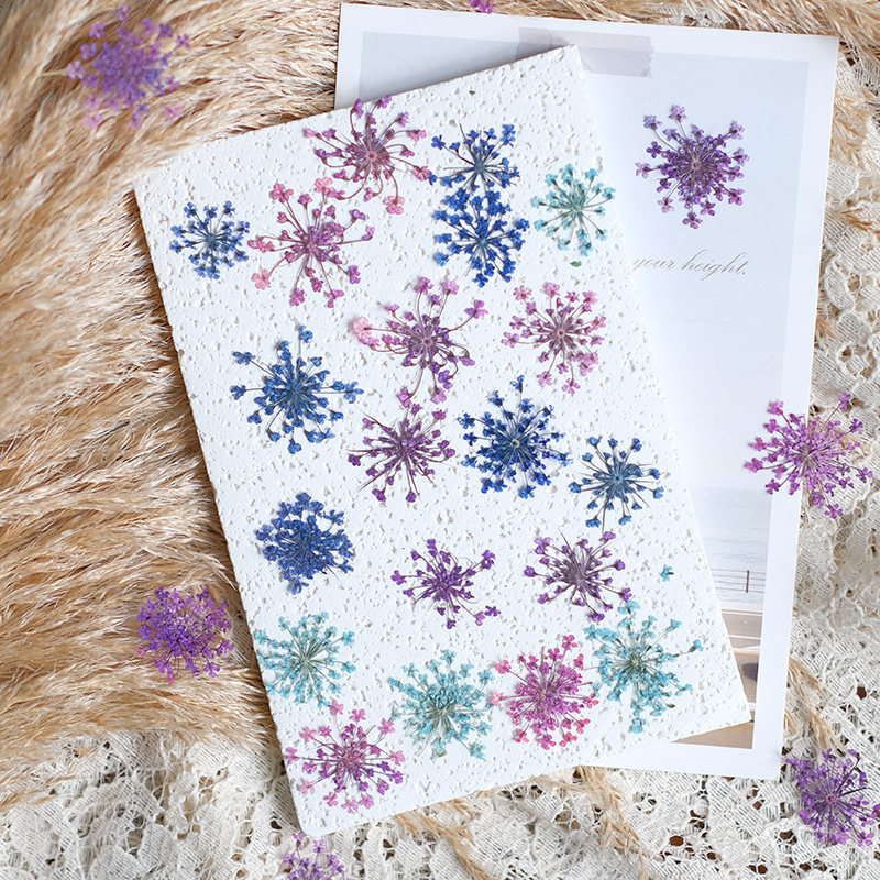24 Pezzi, 2-2,5 cm, Petali di  - Resin Art Baby recensione e prezzo